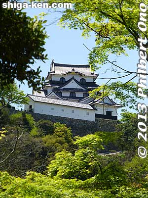 Hikone Castle
Keywords: shiga hikone castle genkyuen japanese garden