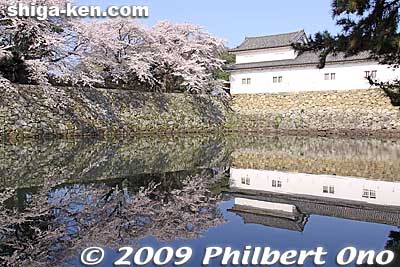 From the Iroha pine tree road, you will see this Ninomaru-Sawaguchi Tamon Yagura Turret.
Keywords: shiga hikone castle sakura cherry blossoms