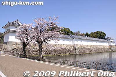 The right side of the turret is now the Kaikoku Kinenkan museum.
Keywords: shiga hikone castle sakura cherry blossoms