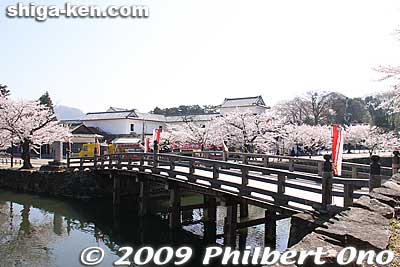 Omotemon Bridge
Keywords: shiga hikone castle sakura cherry blossoms