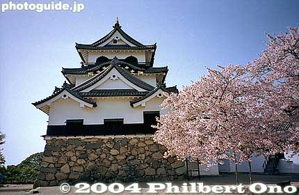Keywords: shiga hikone castle tower national treasure sakura cherry blossoms
