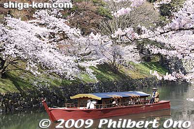 The quiet-motor Yakatabune boat is a replica of the daimyo's boat.
Keywords: shiga hikone castle sakura cherry blossoms