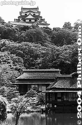 See more pictures of Genkyuen at my [url=http://photoguide.jp/pix/thumbnails.php?album=162]Genkyu-en photo album.[/url]
Keywords: shiga hikone castle