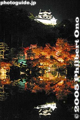 Hikone Castle as seen from Genkyuen Garden during autumn at night.
Keywords: shiga hikone castle