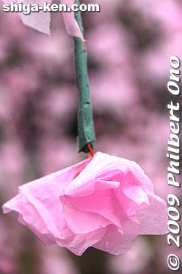 Hoinobori paper flower.
Keywords: shiga hino-cho Minami Sanno Matsuri Festival hoinobori streamers