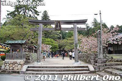 Aburahi Shrine torii. There's a short path leading to the Romon Gate and this is where the yakko procession performs as they proceed to the shrine. 
Keywords: shiga koka aburahi matsuri shrine 
