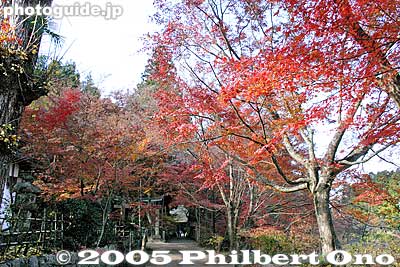Fall colors are also nice. Accessible by bus from Ishibe Station or walk from Jorakuji. Path to temple. [url=http://goo.gl/maps/QVZMv]MAP[/url]
Keywords: shiga prefecture konan tendai buddhist temple