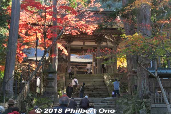 Nitenmon Gate to main temple (Hondo).
Keywords: shiga kora saimyoji tendai temple autumn foliage leaves maple momiji