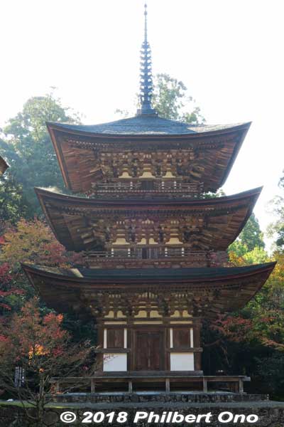 Saimyoji's three-story pagoda, a National Treasure.
Keywords: shiga kora saimyoji tendai temple autumn foliage leaves maple momiji pagoda