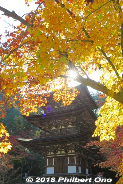 Keywords: shiga kora saimyoji tendai temple autumn foliage leaves maple momiji pagoda