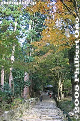 Keywords: shiga prefecture higashiomi hyakusaiji temple fall autumn leaves colors Hyakusaijifall