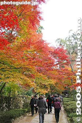 Nice path with fall colors
Keywords: shiga prefecture hatasho-cho koto sanzan kongorinji temple fall autumn colors kotosanzan