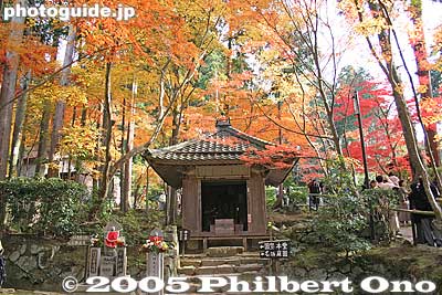 Finally we see a building
Keywords: shiga prefecture hatasho-cho koto sanzan kongorinji temple fall autumn colors japantemple kotosanzan