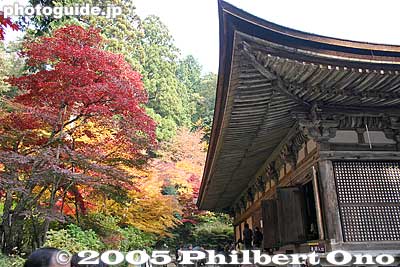 Temple Hondo
Keywords: shiga prefecture hatasho-cho koto sanzan kongorinji temple fall autumn colors