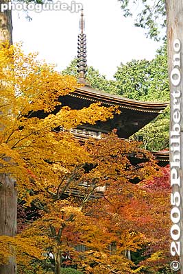 3-story pagoda
Keywords: shiga prefecture hatasho-cho koto sanzan kongorinji temple fall autumn colors
