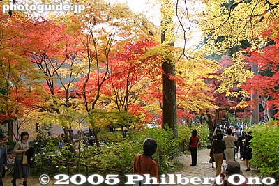 Keywords: shiga prefecture hatasho-cho koto sanzan kongorinji temple fall autumn colors kotosanzan