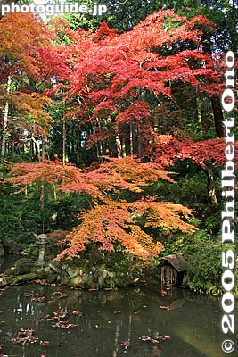 Garden
Keywords: shiga prefecture hatasho-cho koto sanzan kongorinji temple fall autumn colors