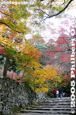 Keywords: shiga prefecture kora-cho koto sanzan saimyoji temple fall autumn colors kotosanzan
