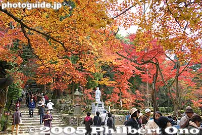 At the top of the stairs
Keywords: shiga prefecture kora-cho koto sanzan saimyoji temple fall autumn colors japanaki kotosanzan