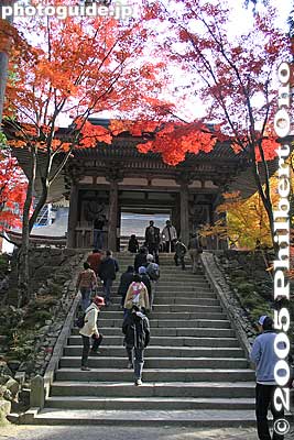 Nitenmon Gate to main temple (Hondo)
Keywords: shiga prefecture kora-cho koto sanzan saimyoji temple fall autumn colors kotosanzan