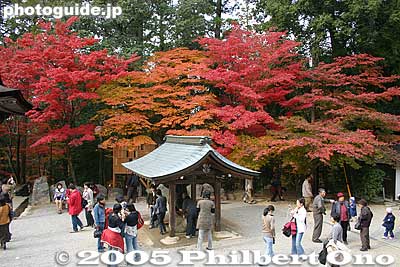 Hondo grounds
Keywords: shiga prefecture kora-cho koto sanzan saimyoji temple fall autumn colors kotosanzan