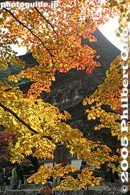 3-story pagoda, a National Treasure
Keywords: shiga prefecture kora-cho koto sanzan saimyoji temple fall autumn colors