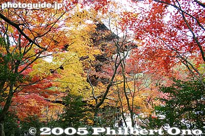 Veil of autumn leaves. Only several people can fit inside the first floor of the pagoda at one time, so you may have to wait in line.
Keywords: shiga prefecture kora-cho koto sanzan saimyoji temple fall autumn colors kotosanzan