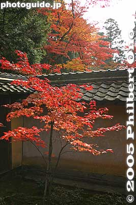 I thought the fall colors were most abundant at Saimyoji. We could also enter the 3-story pagoda, a National Treasure. (You cannot enter the pagoda at the other temples.)
Keywords: shiga prefecture kora-cho koto sanzan saimyoji temple fall autumn colors