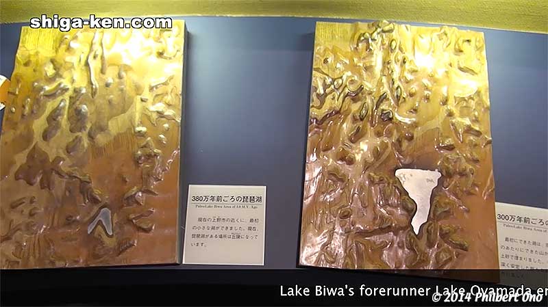 Lake Biwa's forerunner Lake Oyamada emerged about 4 million years ago southeast of Shiga in Iga, Mie Prefecture. Over millions of years, at least two lakes formed and disappeared before Lake Katata (western Otsu) formed.
Keywords: shiga kusatsu karasuma peninsula lake biwa museum aquarium fish