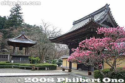 Rest assured, it's very peaceful in the temple. Rengeji's Sanmon Gate (right) and bell tower on left.
Keywords: shiga maibara bamba-juku banba nakasendo post stage town station shukuba jodo-shu buddhist rengeji temple