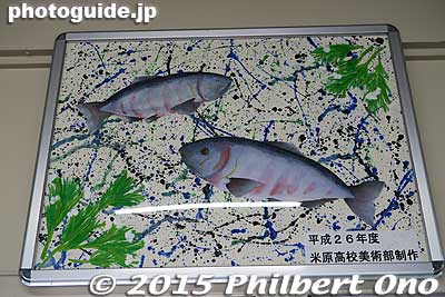 Rainbow trout
Keywords: shiga maibara station train