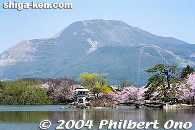 Mishima Pond with Mt. Ibuki and cherry blossoms.
Keywords: shiga maibara mt. ibuki ibukiyama mishima pond sakura cherry blossoms shigabestviews