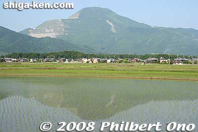 Mt. Ibuki and rice paddies
Keywords: shiga maibara mt. ibuki ibukiyama