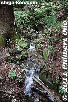 Chikara mizu or Power water.
Keywords: shiga maibara mt. ibukiyama mountain ibuki