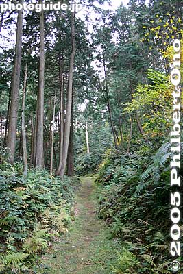 Path to Kitabatake Tomoyuki-kyo Grave
Keywords: shiga maibara kashiwabara-juku nakasendo shukuba 
