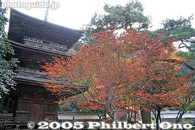 Three-story pagoda
Keywords: shiga maibara kashiwabara kiyotaki tokugen-in temple kyogoku clan fall foliage autumn leaves pagoda