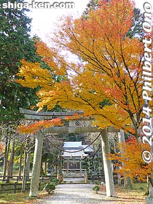 Keywords: shiga maibara kashiwabara kiyotaki tokugen-in temple kannon stone statuesfall foliage autumn leaves