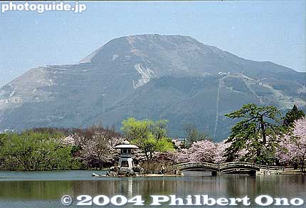 Mt. Ibuki and Mishima Pond in spring.
Keywords: shiga maibara mishima pond sakura cherry blossoms mt. ibuki 