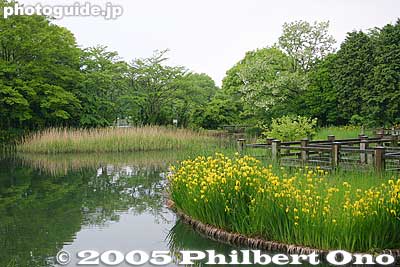 Keywords: shiga maibara mishima pond