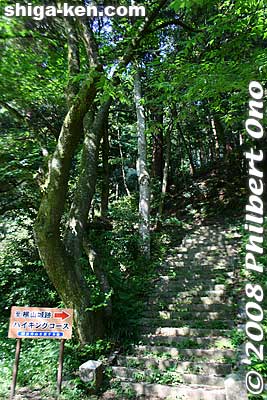 A little path lined with little Kannon statues at Kannonji.
Keywords: shiga maibara kannonji temple tendai buddhist 