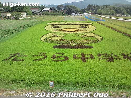 Rice paddy art by 180 junior high students from Yokosuka visiting Maibara in late May 2016. It's their city's mascot.
Keywords: shiga maibara