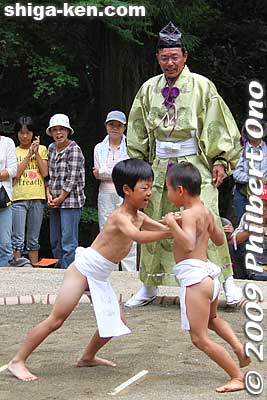 Then the children's sumo matches. Boys only, no girls. This was the main highlight and crowd pleaser.
Keywords: shiga maibara hinade jinja shrine sumo festival matsuri children boys