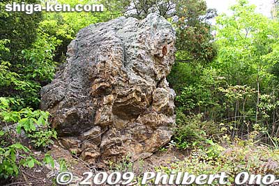 Rock
Keywords: shiga maibara hinade-yama mountain 