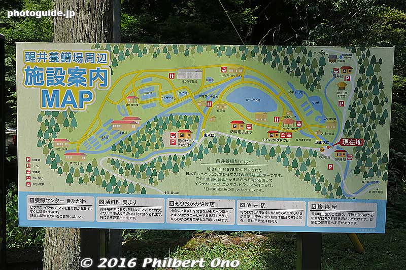 The Samegai Trout Farm raises eight types of fish, mainly river fish and trout/salmon species including Biwa salmon, rainbow trout, carp, char, and sturgeon.
Keywords: maibara