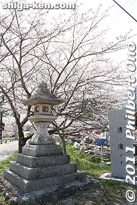 Stone lantern and Kiyotaki welcome sign.
Keywords: shiga maibara kashiwabara kiyotaki tokugenin temple