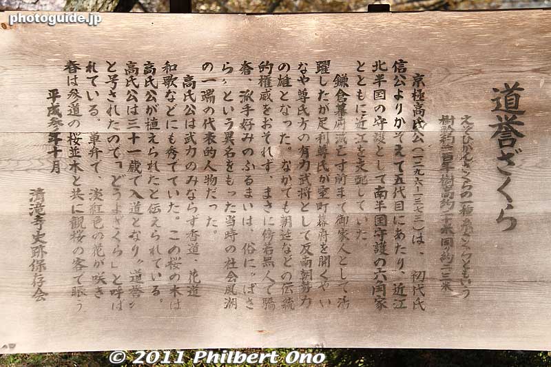 About the Doyo Sakuracherry tree.
Keywords: shiga maibara kashiwabara kiyotaki tokugenin temple
