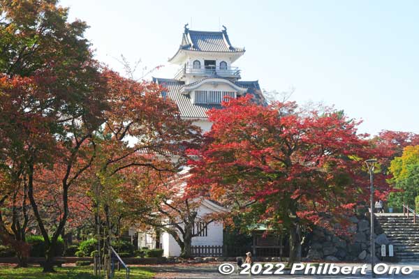 Nagahama Castle in autumn.
Keywords: shiga nagahama castle hokoen park autumn leaves foliage