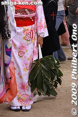 The Miko dancer used these bamboo leaves in his dance.
Keywords: shiga nagahama yogo chawan matsuri float festival 