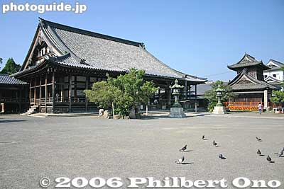 Daitsuji temple Hondo main hall and belfry
Keywords: shiga nagahama daitsuji temple Buddhist Jodo Shinshu Otani