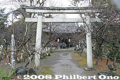 Torii to Tenmangu Shrine 天満宮
Keywords: shiga nagahama hachimangu shrine shinto torii new year's oshogatsu